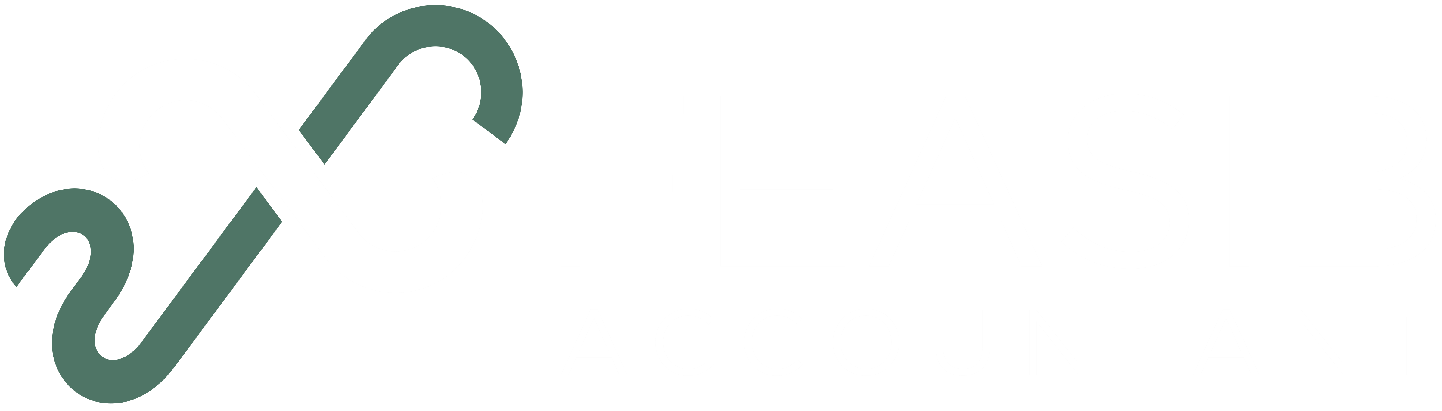 FeasibAccountantLogoA6